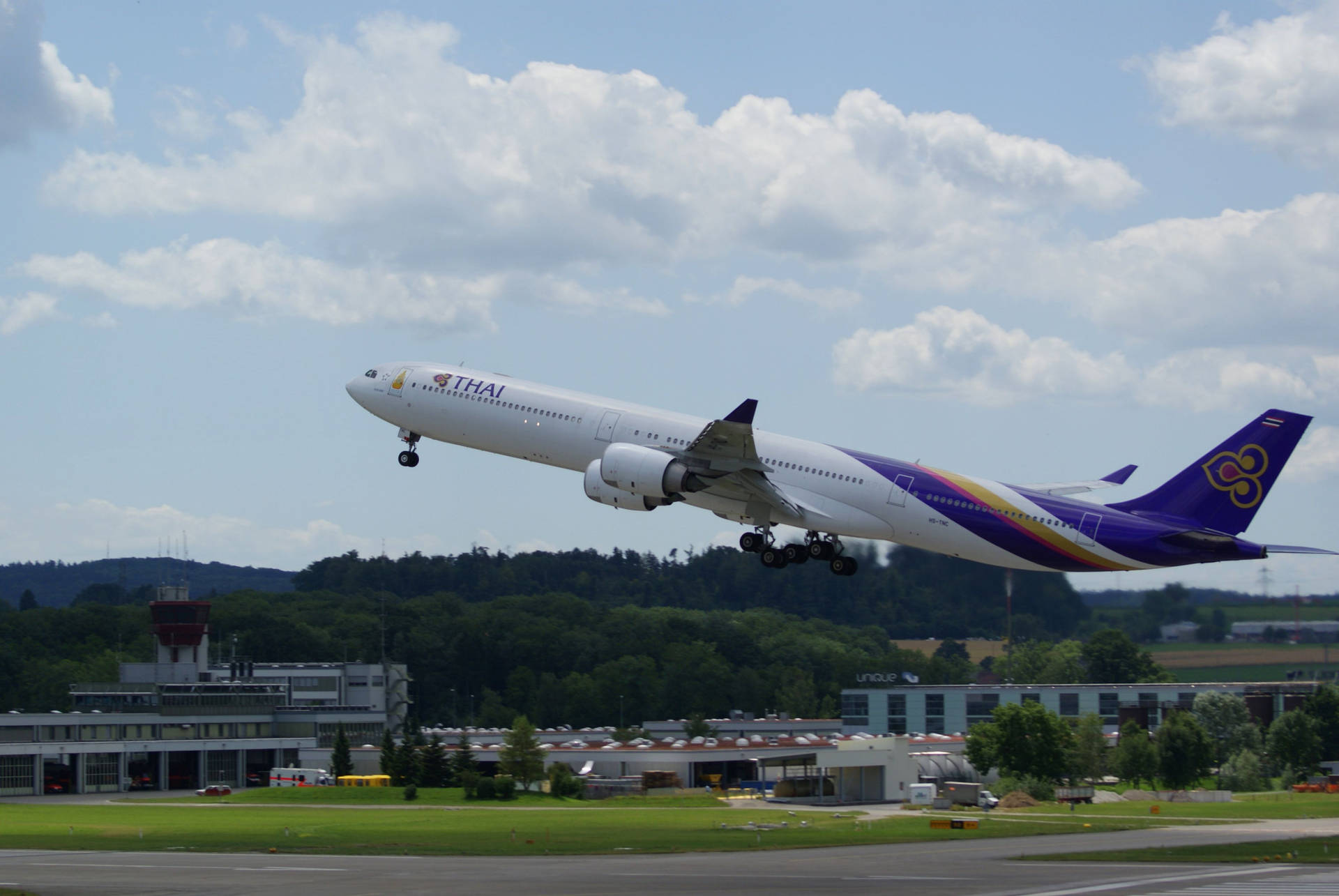 Thai Airways Airplane Midair Background