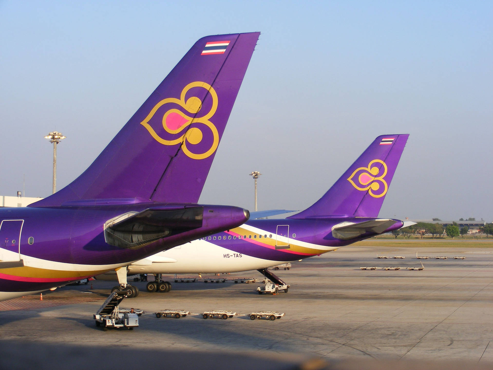 Thai Airways Airplane Tail Background