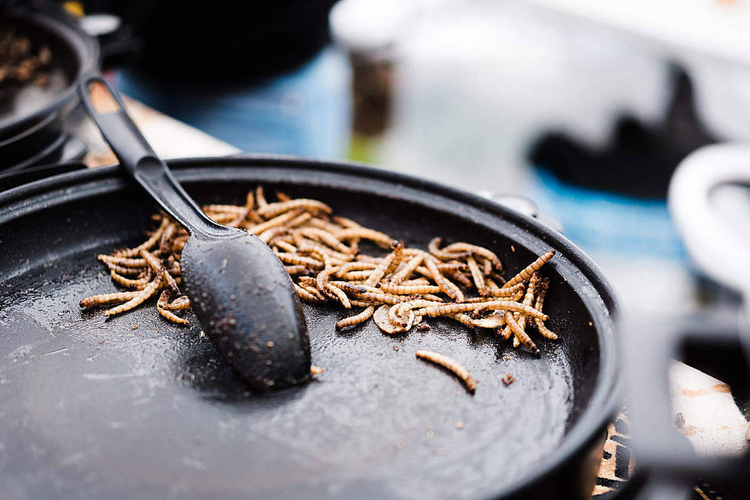 Thailand Fried Silkworm Food Desktop Background
