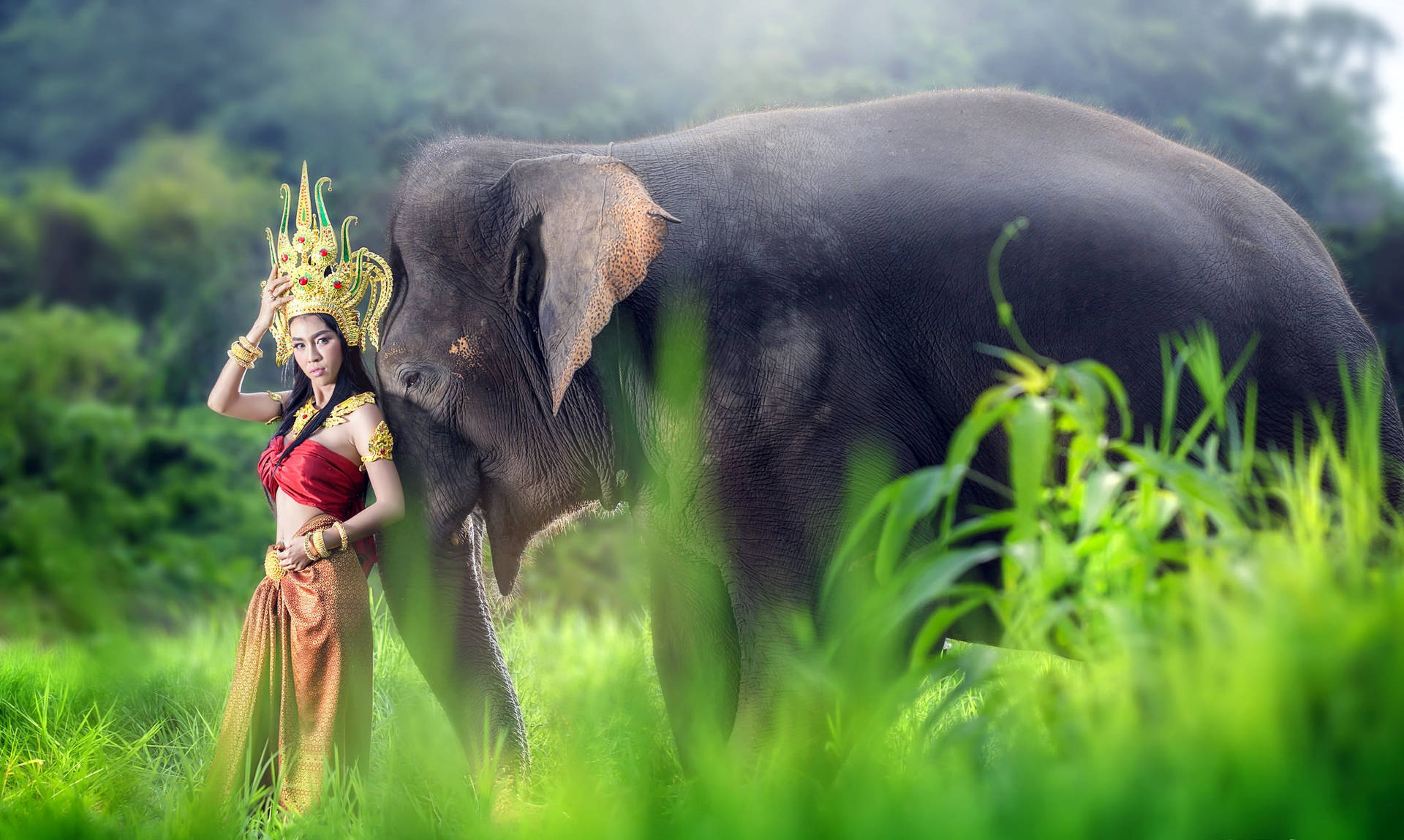 Thailand Woman And Indian Elephant Background