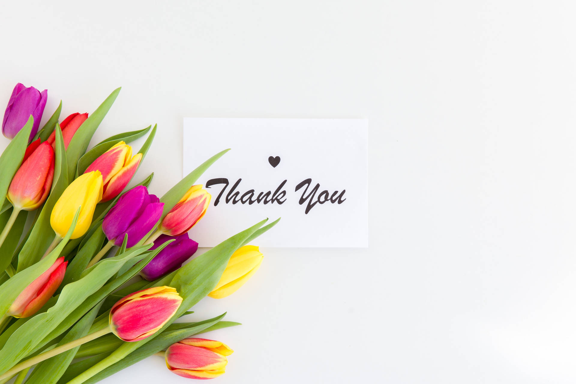 Thank You Greeting With Flowers Background