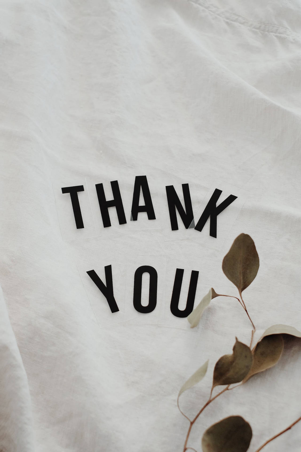 Thank You In White Background