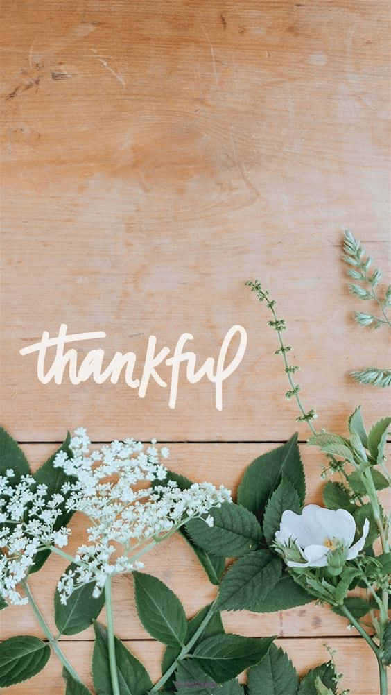Thankful Flower Flat Lay Background