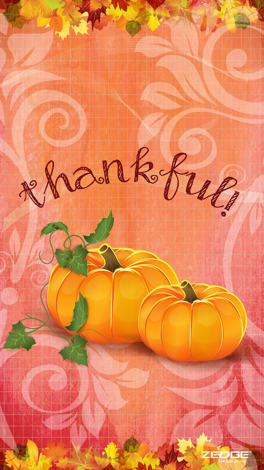 Thankful Pumpkins Thanksgiving Iphone Background