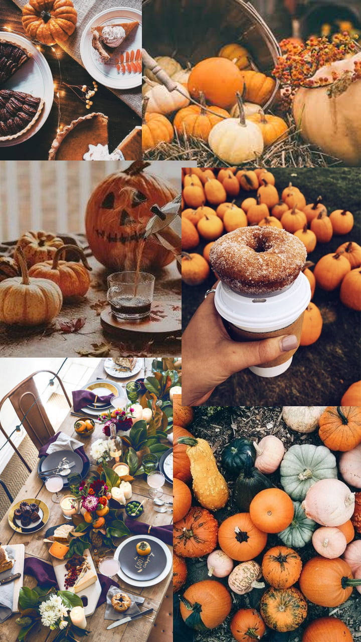 Thanksgiving Aesthetic Collage Background