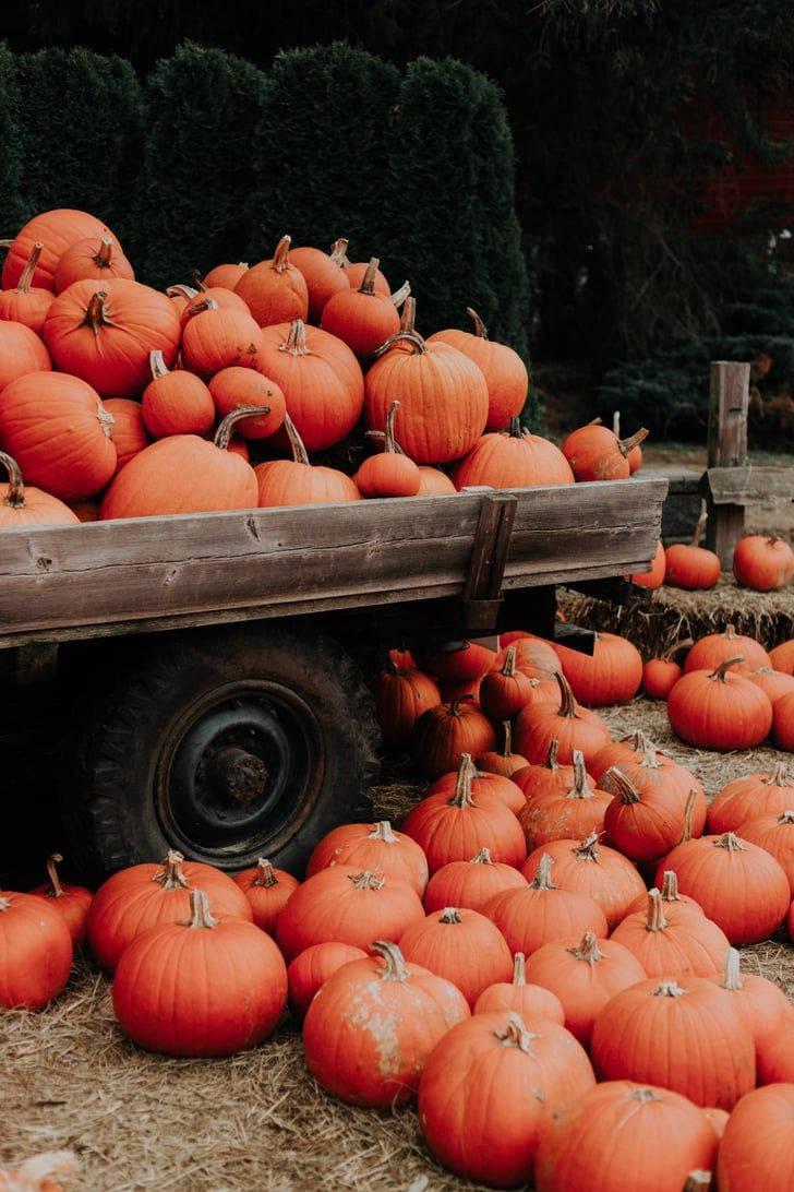 Thanksgiving Aesthetic Truck Of Pumpkins Background