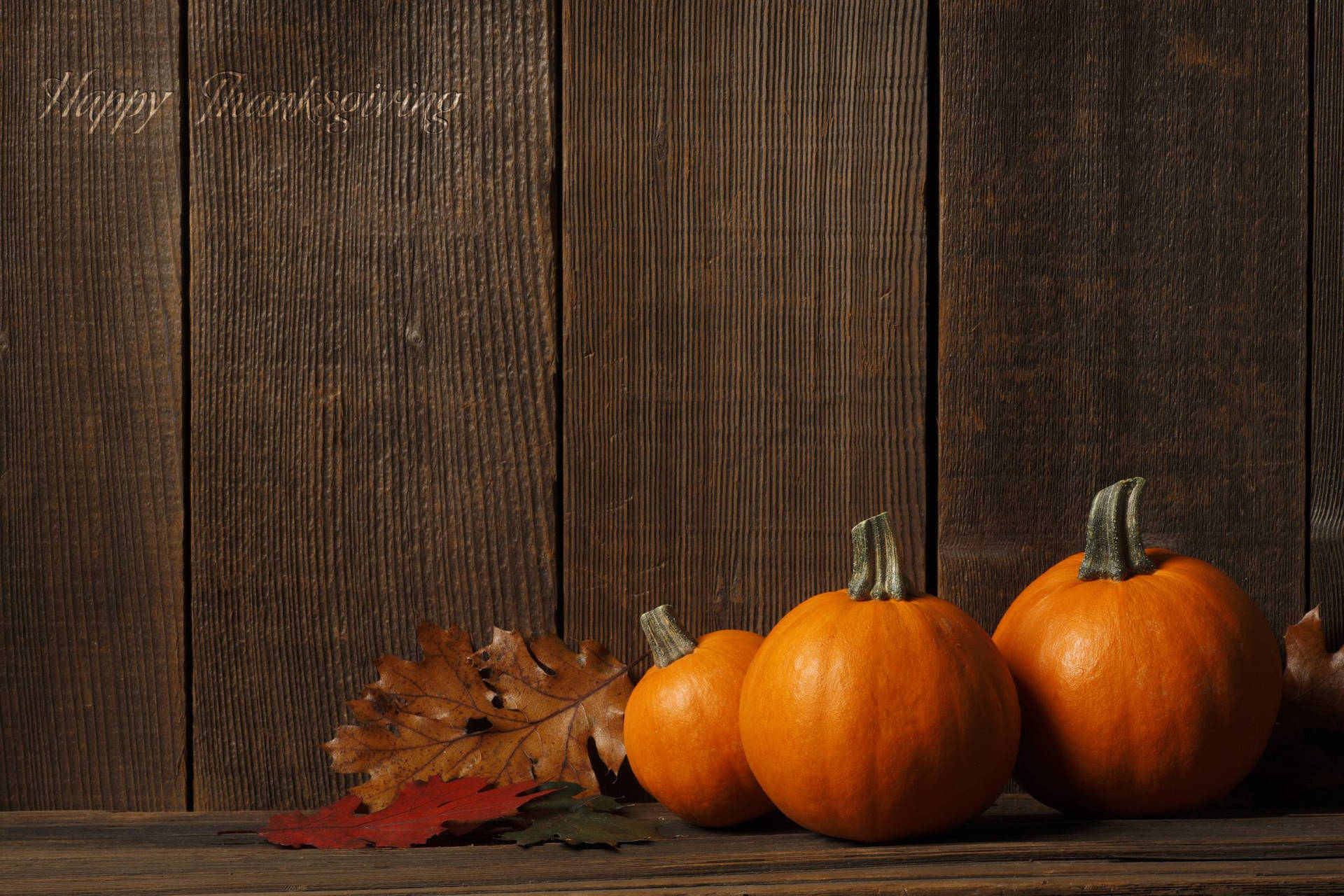 Thanksgiving Cute Little Pumpkins Background