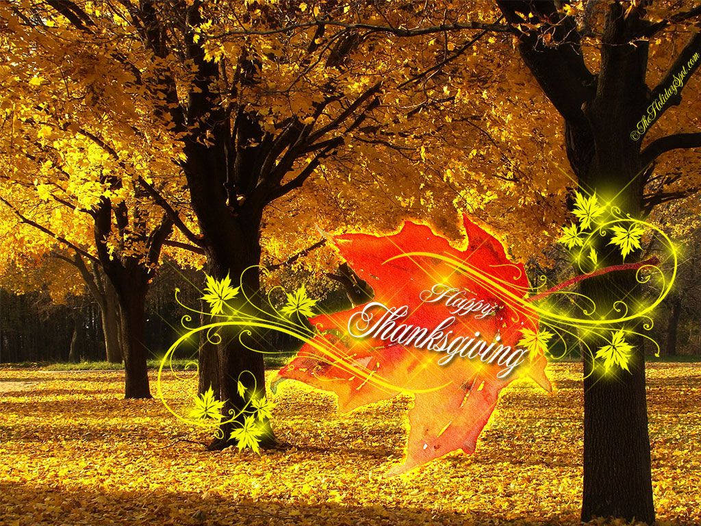 Thanksgiving Day With Animated Leaf Background