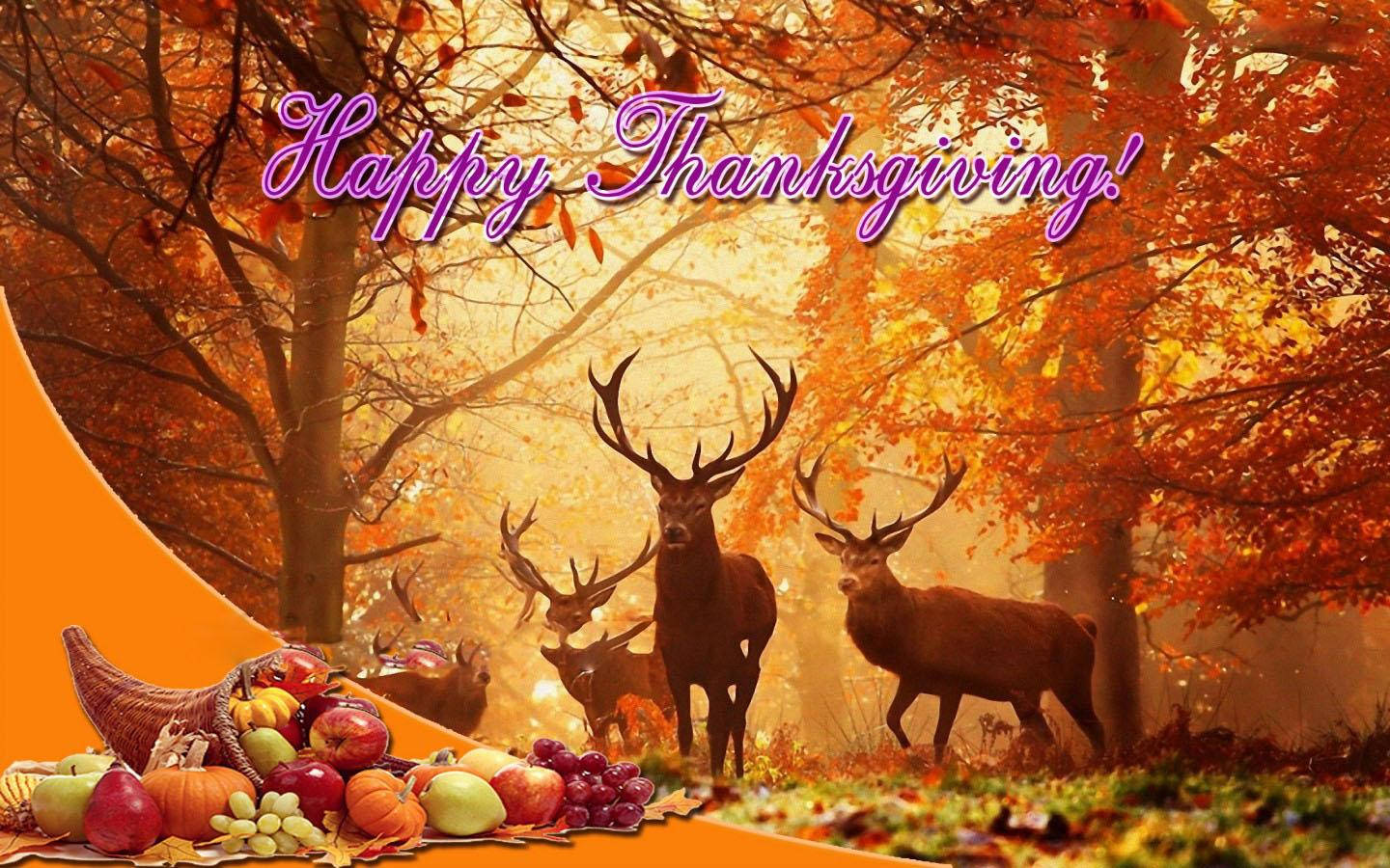 Thanksgiving Day With Deers Background