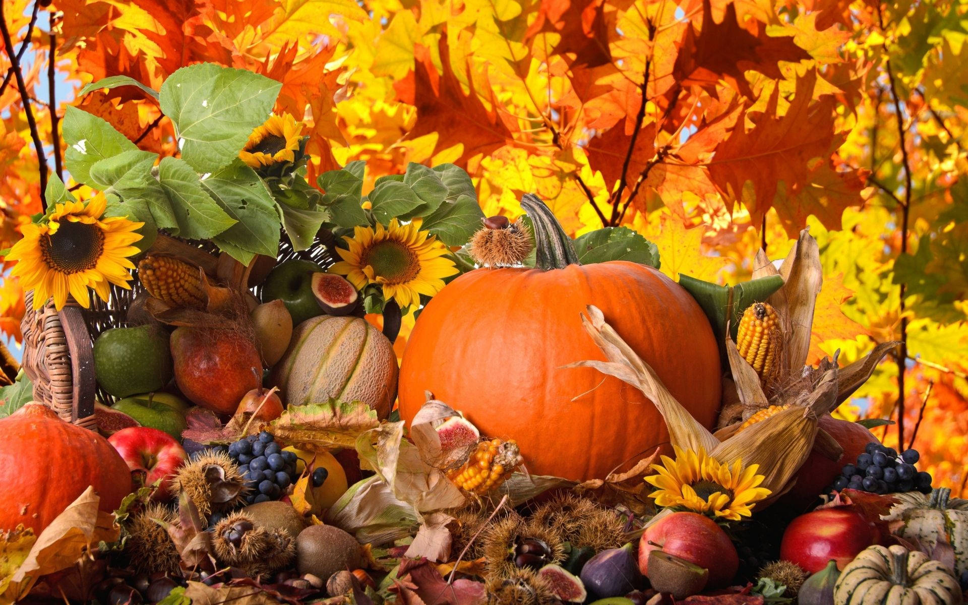 Thanksgiving Fresh Food Harvest Background