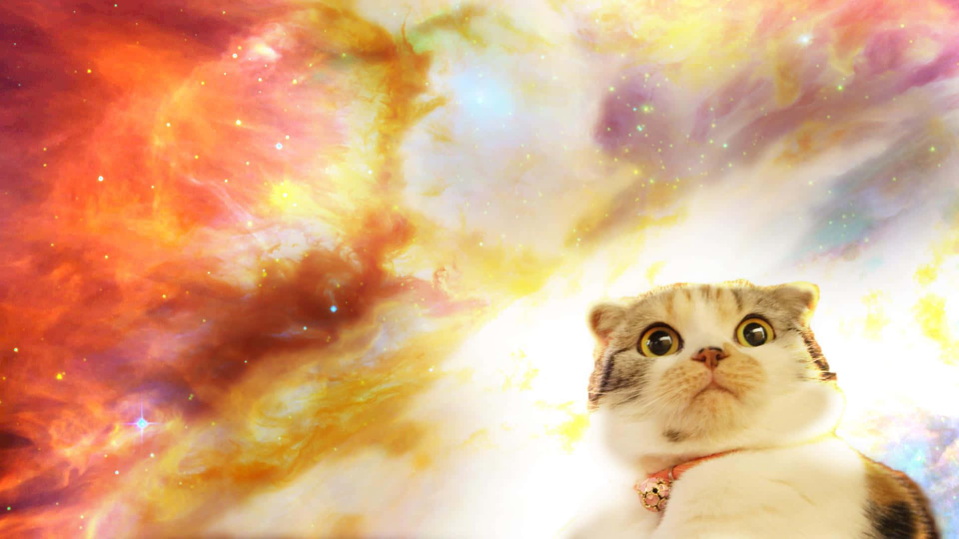 That's One Purrfectly Awesome Space Cat! Background