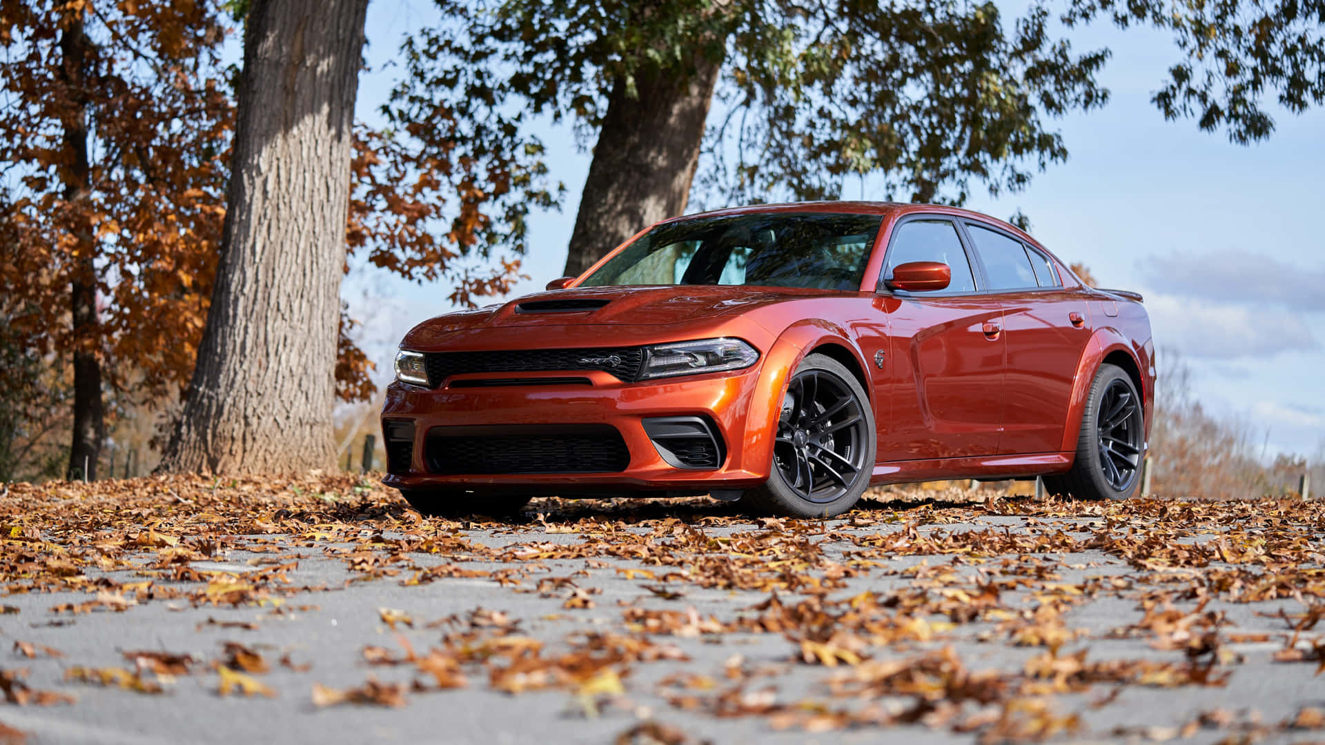 The 2019 Dodge Charger Srt Parked In The Fall Background