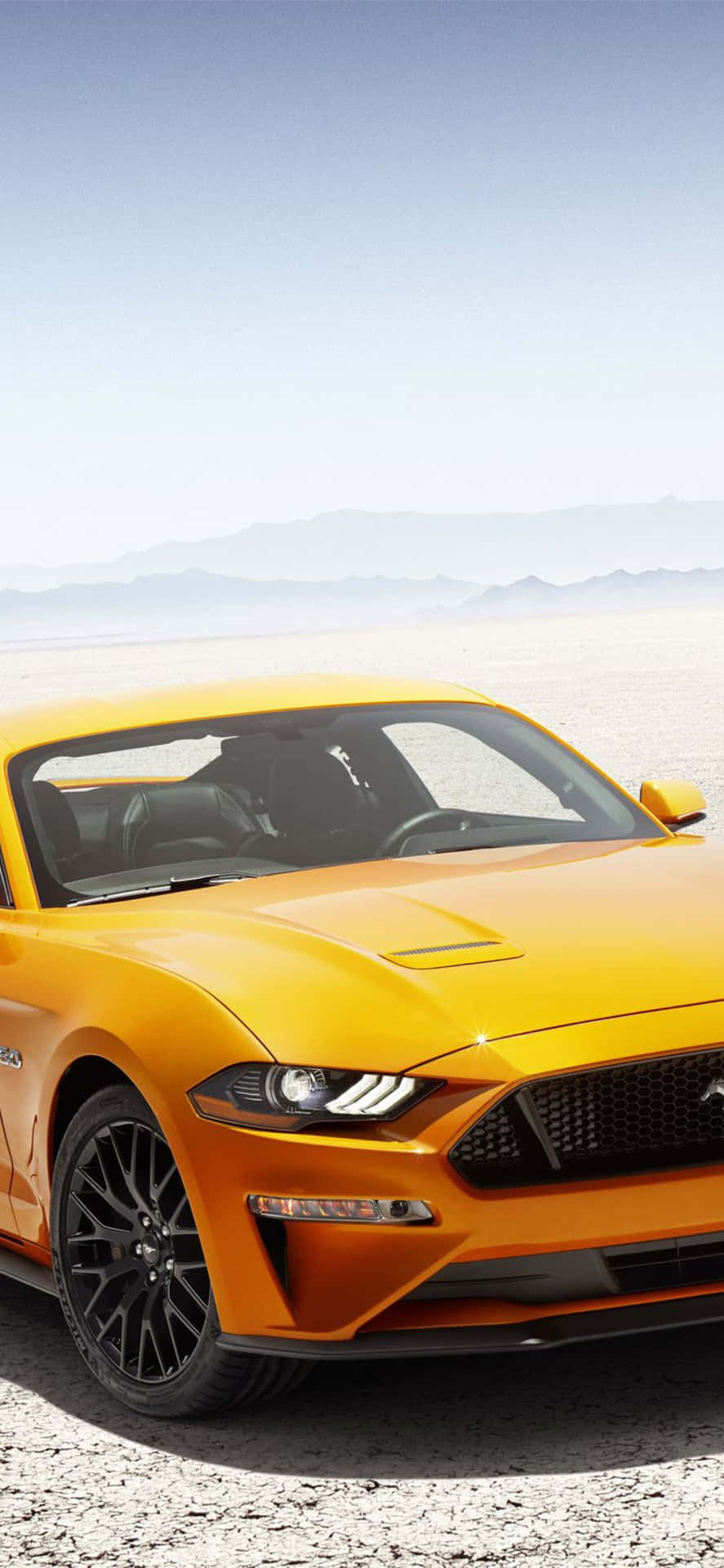 The 2019 Ford Mustang Gt Is Shown In The Desert Background