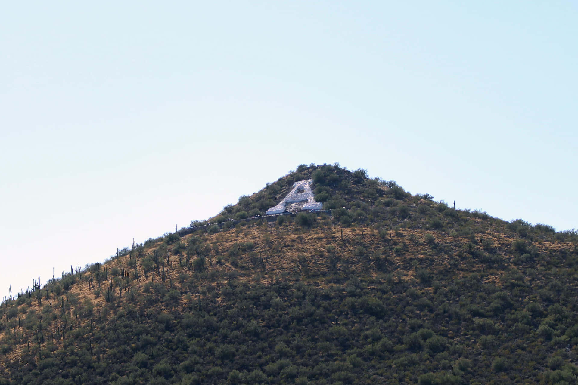 The A Mountain In Tucson Background