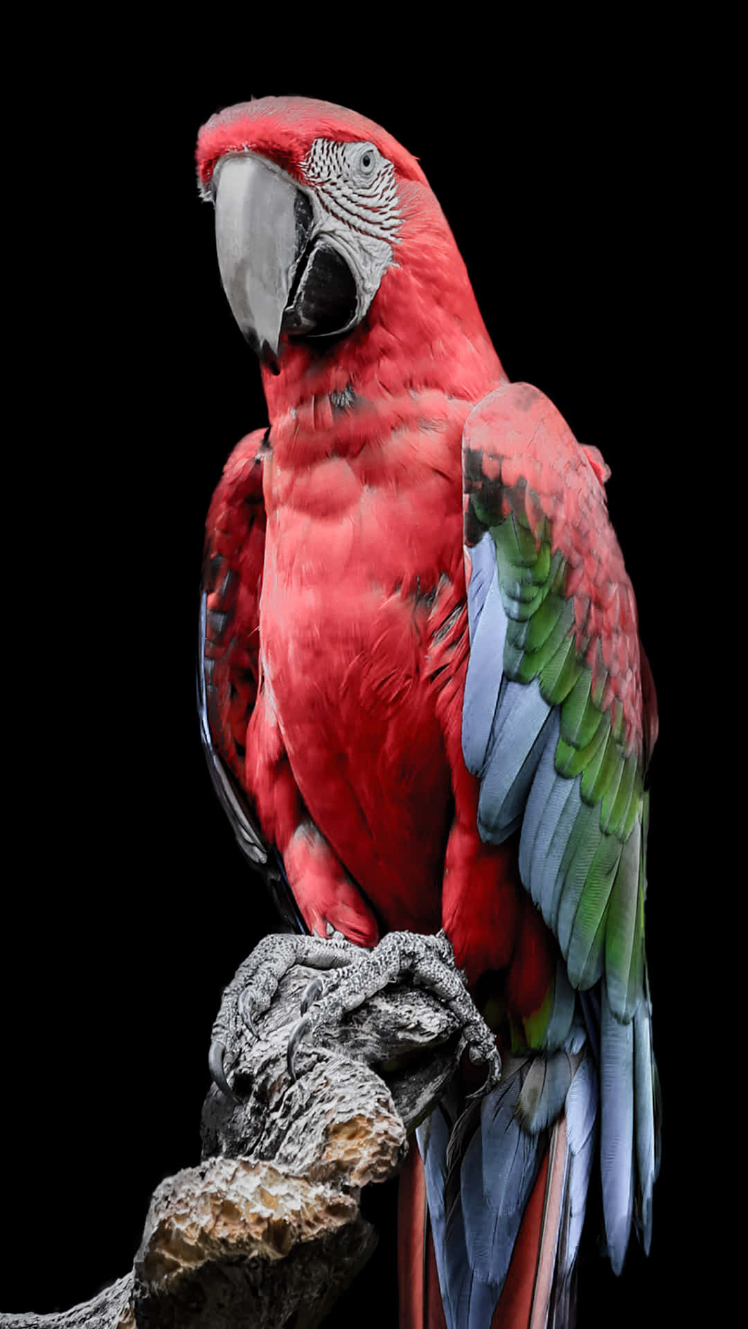 The Acclaimed Samsung Galaxy Note 10 Plus, The Newest Edition Of One Of The World's Leading Smartphone Models. Background