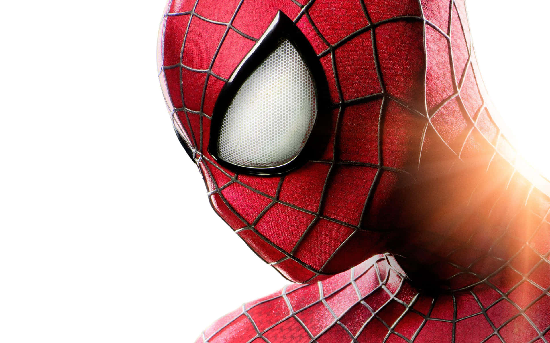 The Amazing Spider - Man Hd Wallpaper Background