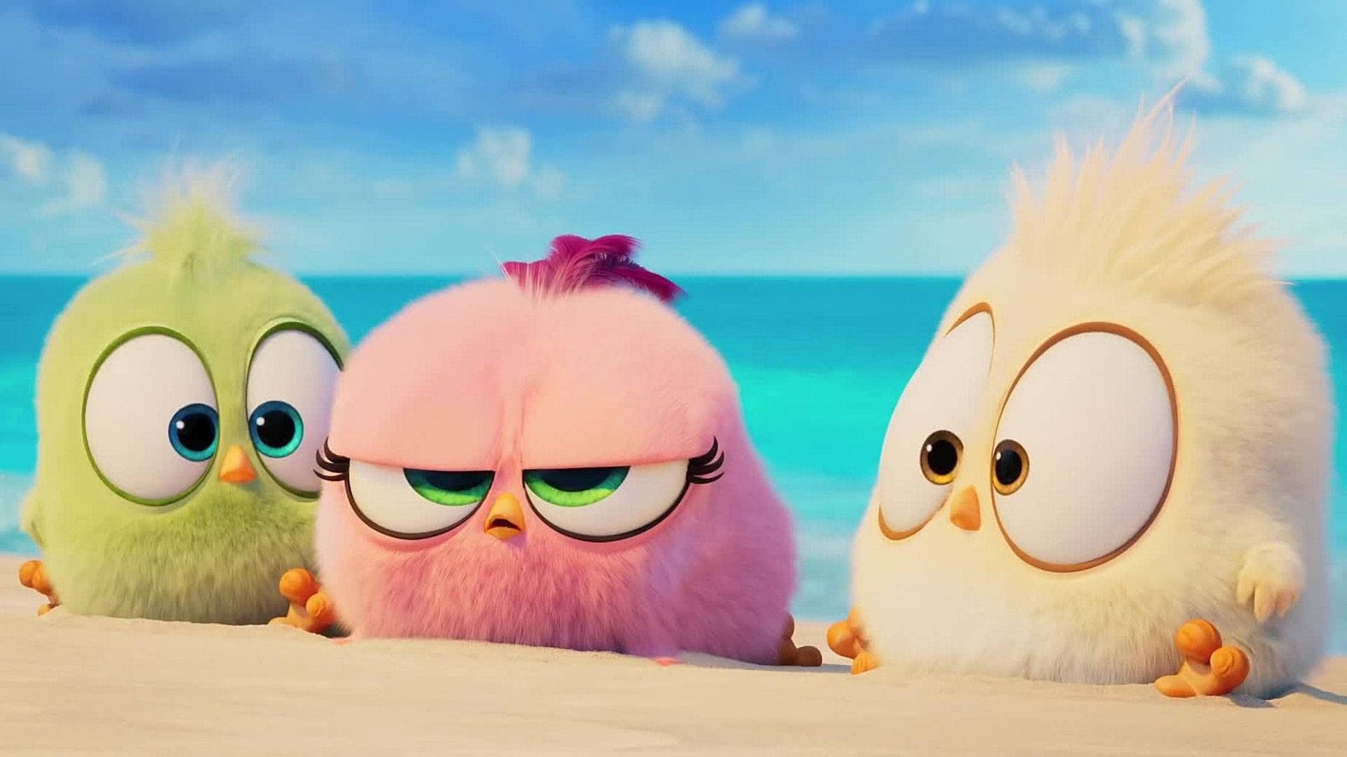 The Angry Birds Movie 2 1920 X 1080 Background