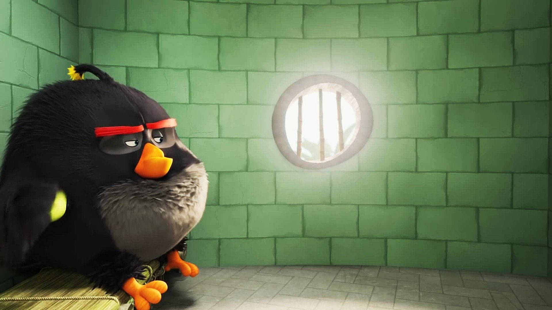 The Angry Birds Movie 2 Bomb Alone Background