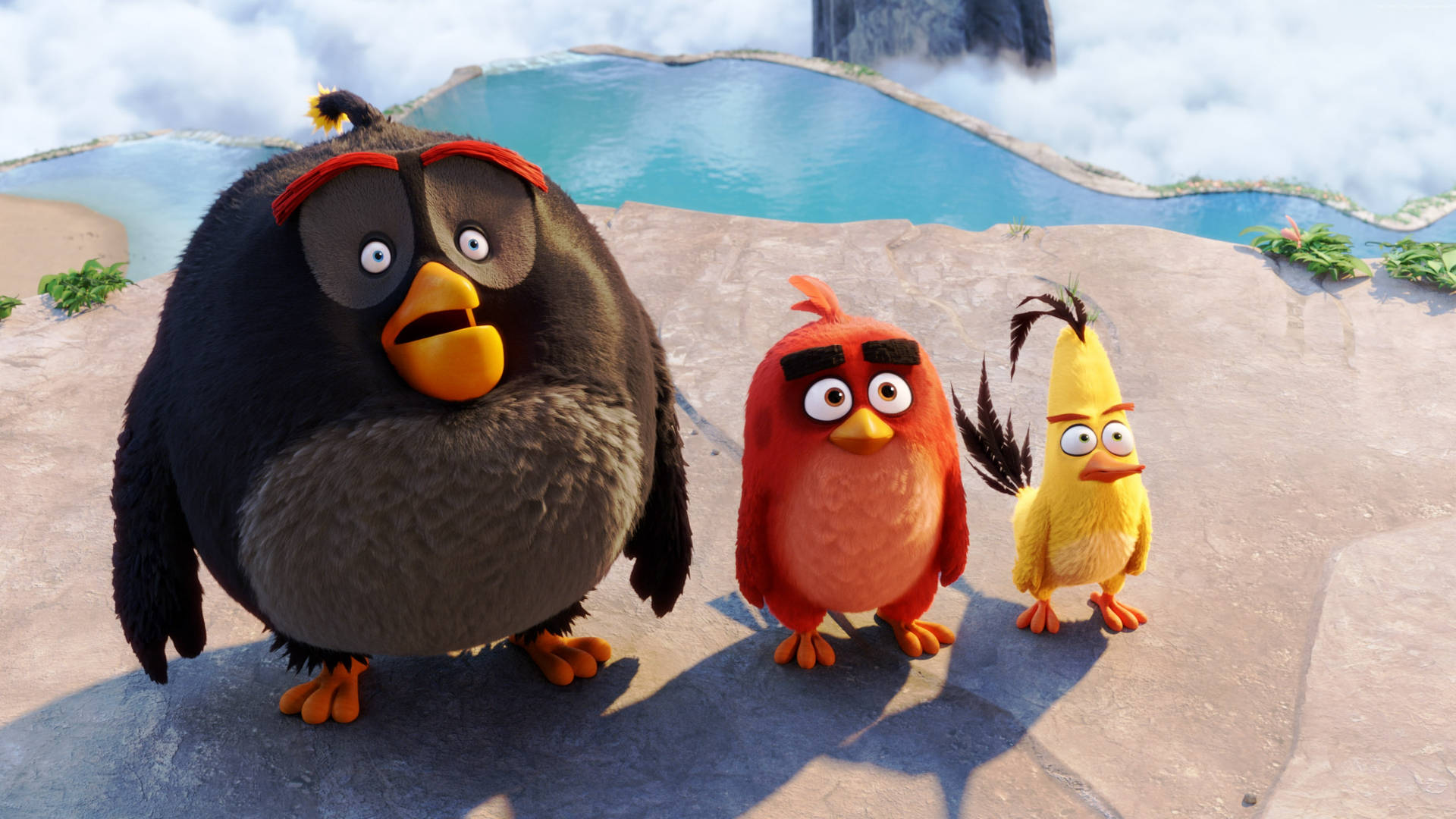 The Angry Birds Movie 2 Surprised Background