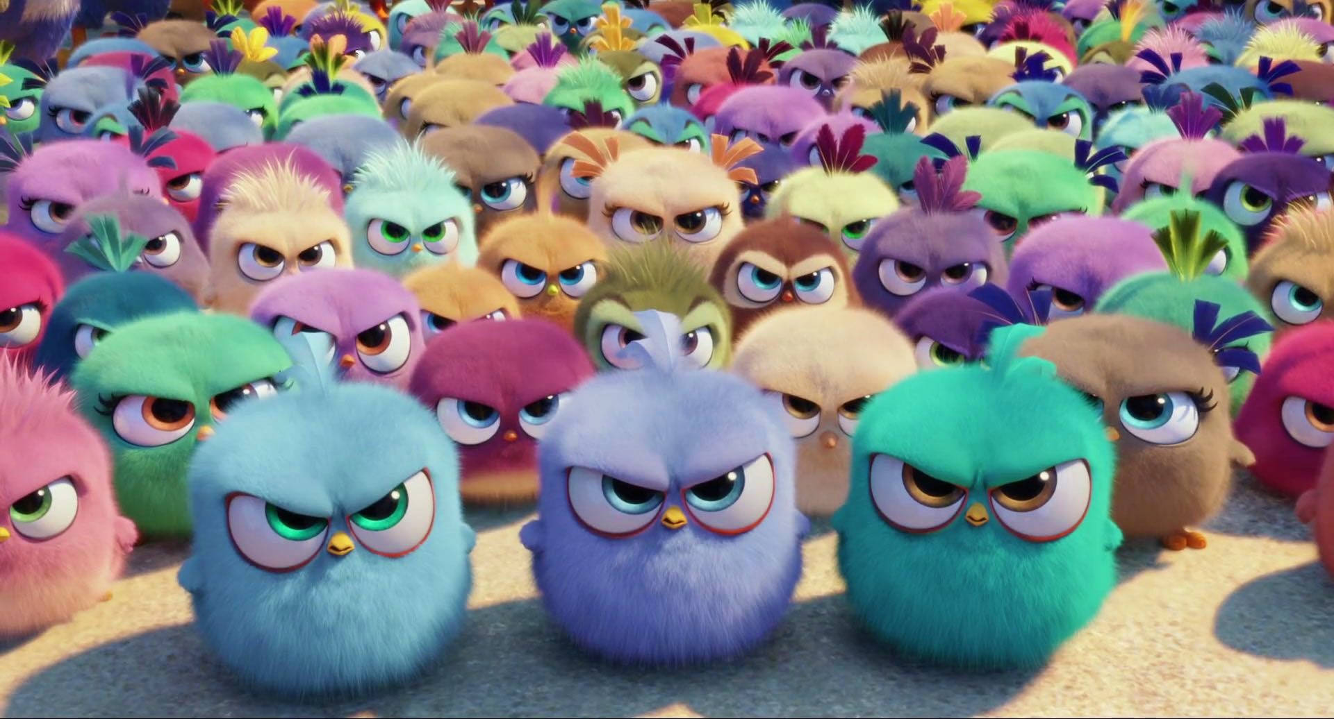 The Angry Birds Movie Featuring Angry Hatchlings Background