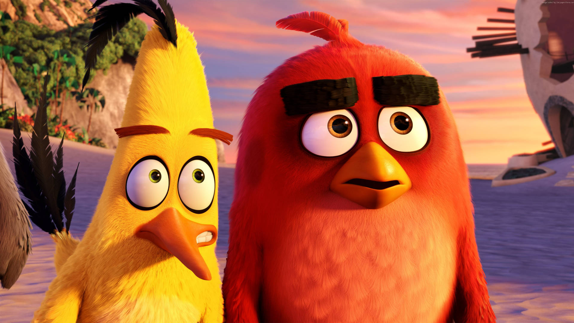 The Angry Birds Movie Featuring Chuck And Red Background