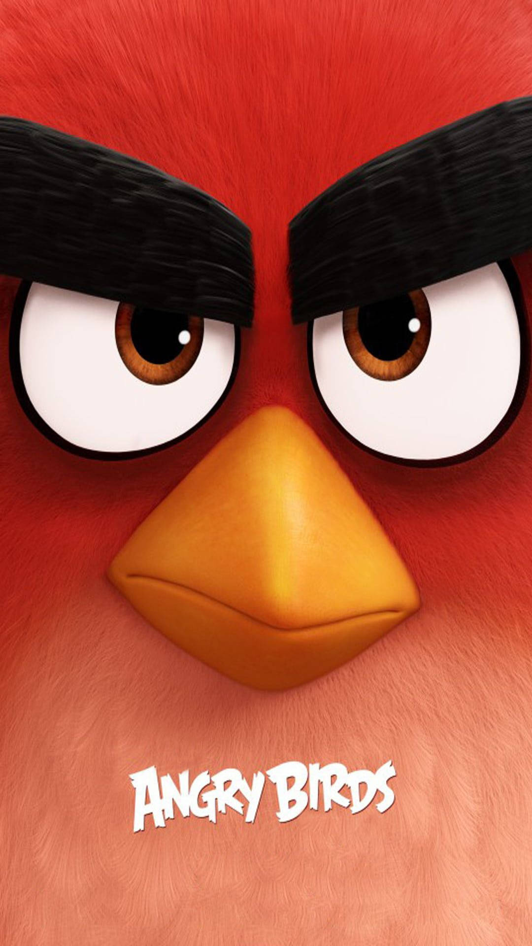 The Angry Birds Movie Poster Featuring Red Background