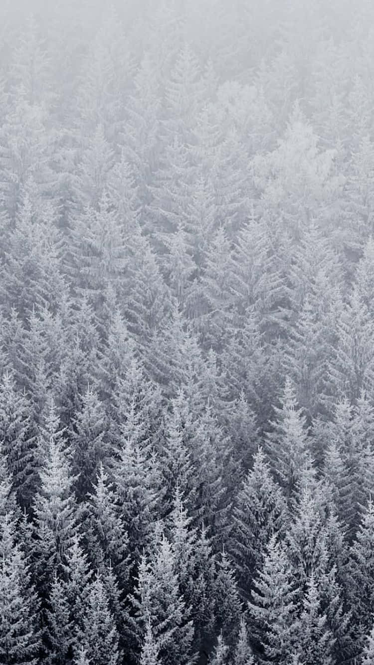 The Apple Iphone 6s - A Mobile Device Of Unparalleled Quality Background