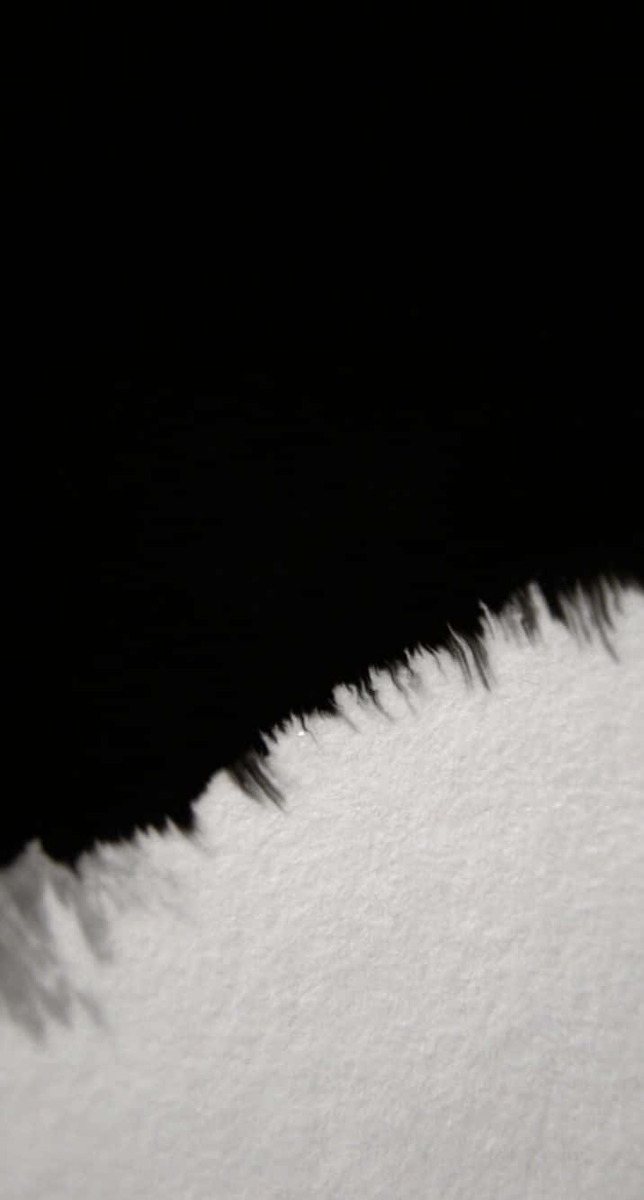The Art Of Contrast: Half Black Half White Abstract Design Background