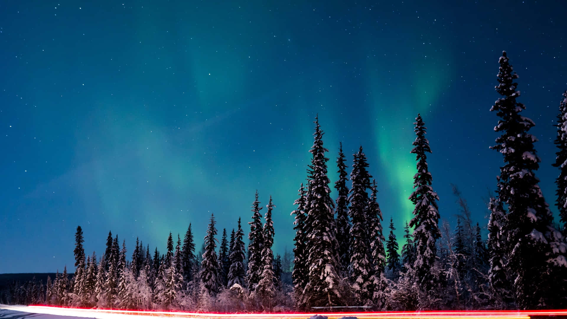 The Aurora Borealis Is Seen Over A Road With Trees Background