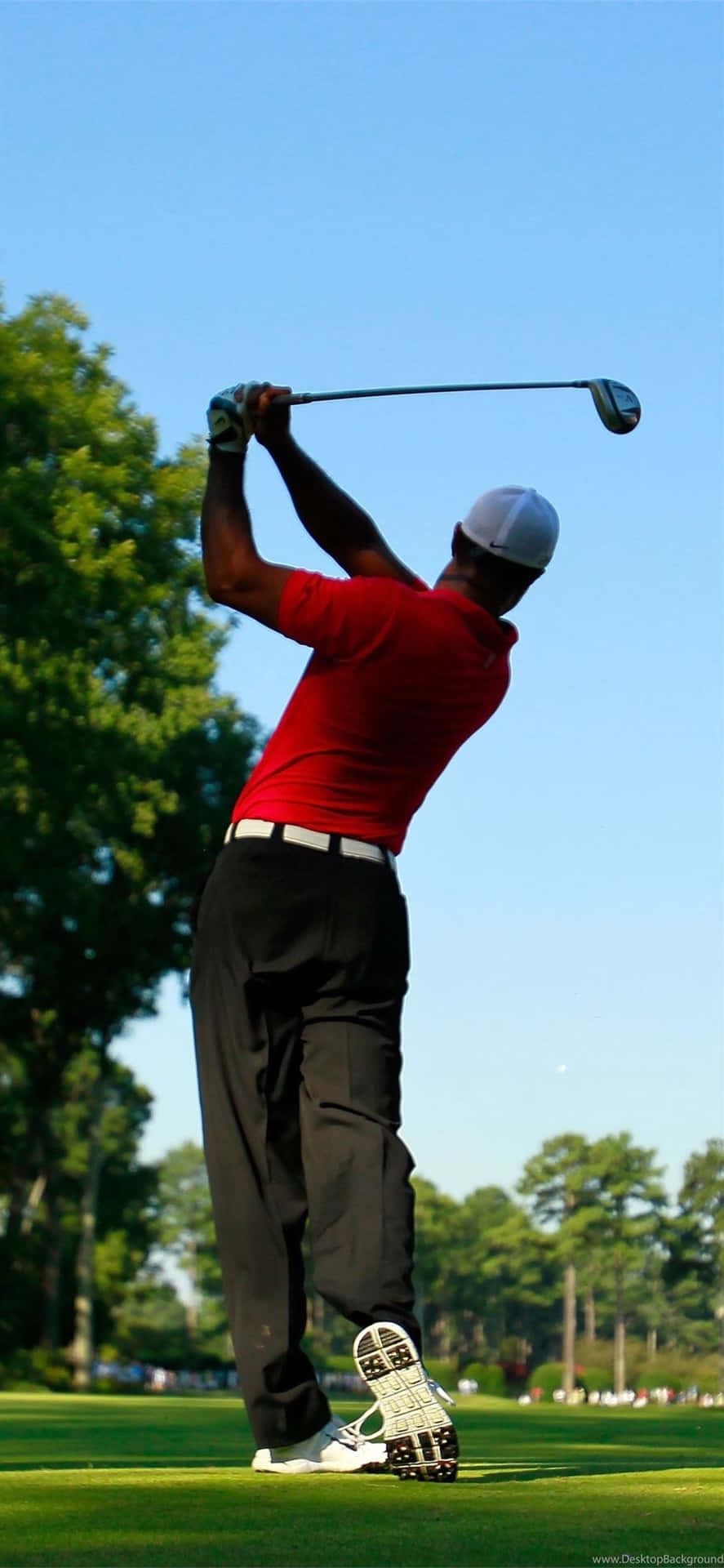 The Back Of Tiger Woods Iphone Background