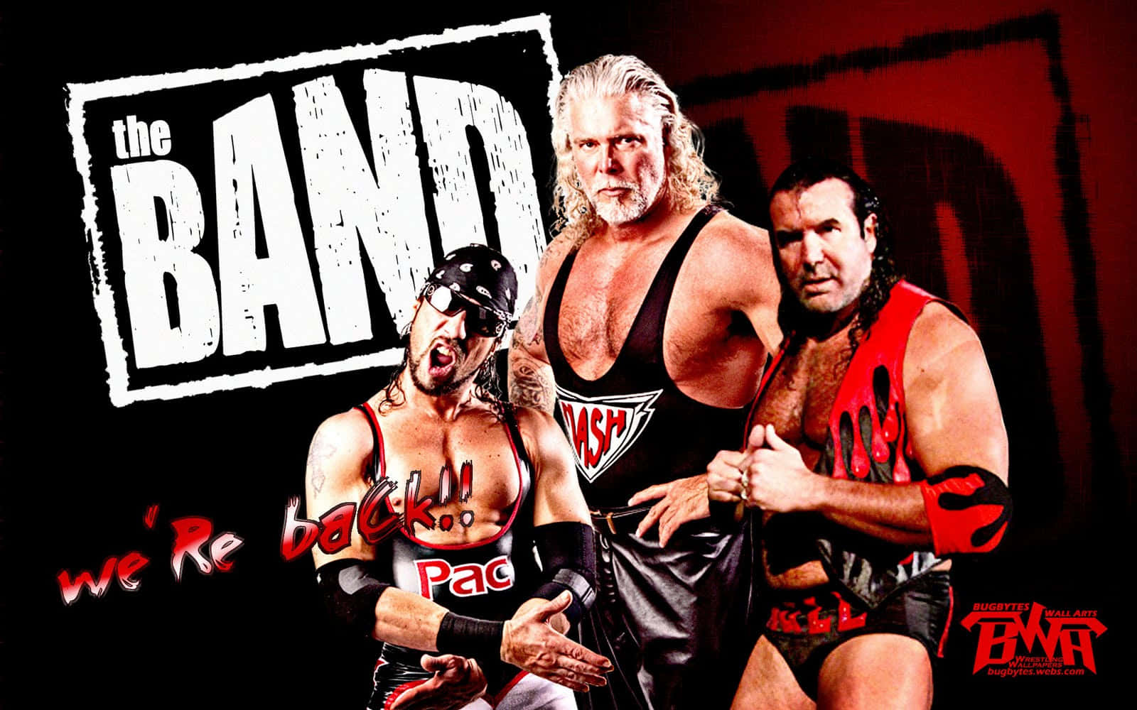 The Band With Kevin Nash Background