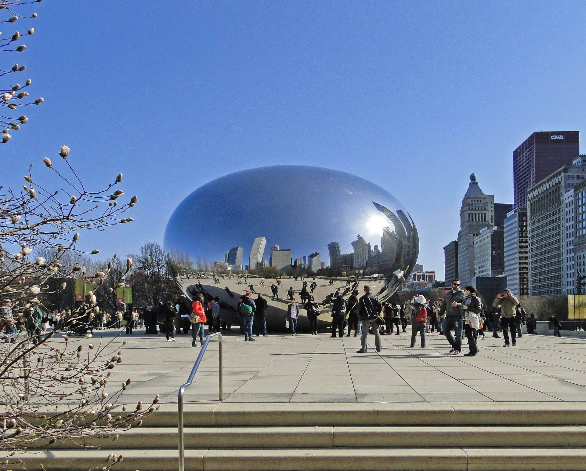 The Bean Chicago During Day