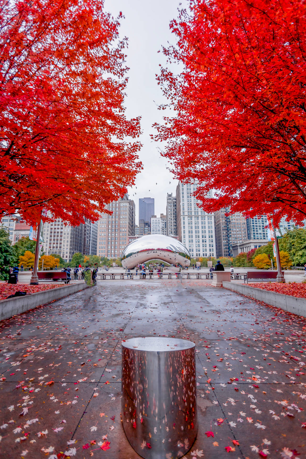 The Bean Chicago Red Leaves