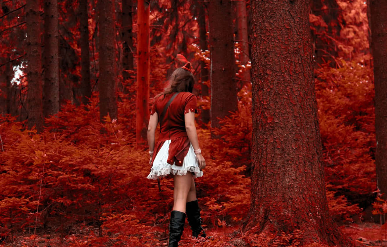 The Beautiful Red Forest Background