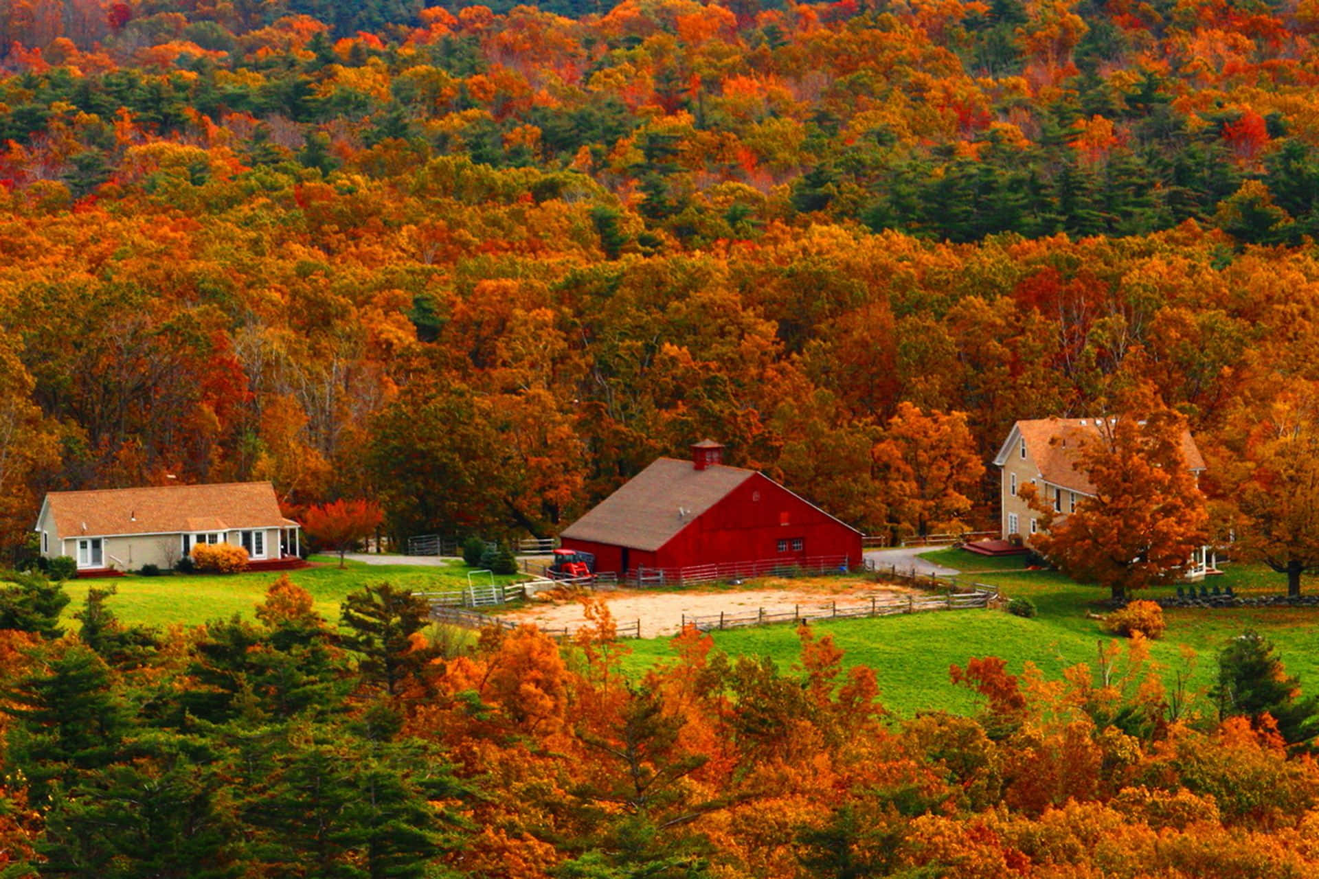 The Beauty Of A New England Autumn