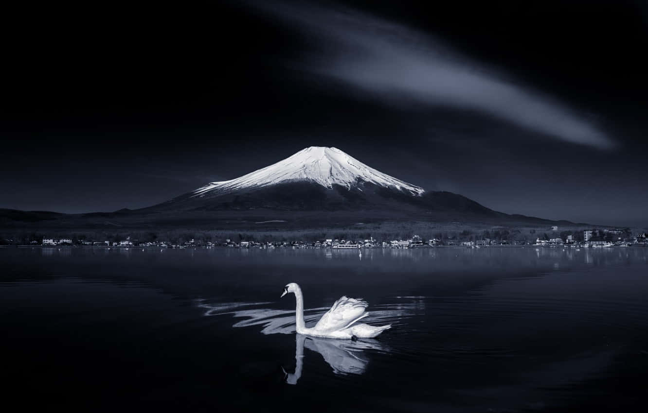 The Beauty Of Dark Japan Background