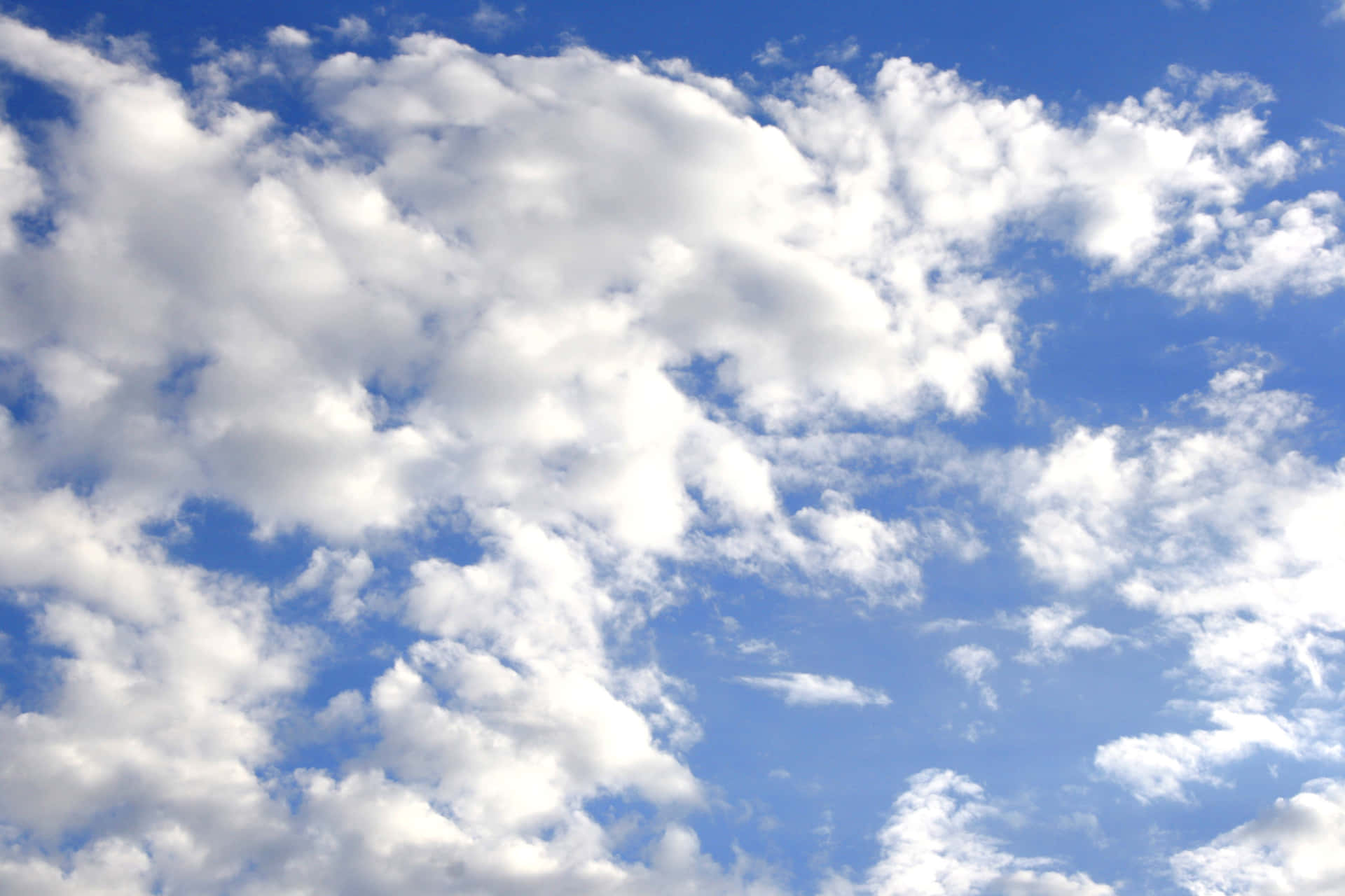 The Beauty Of Living Beneath The Blue Skies Background