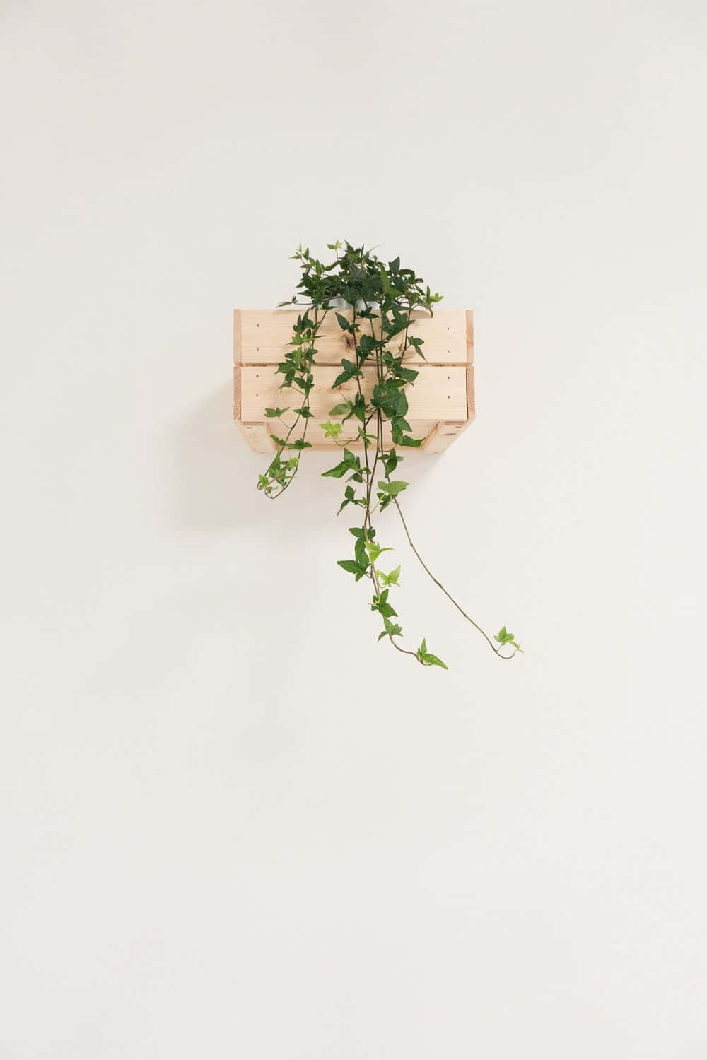 The Beauty Of Minimalism Background