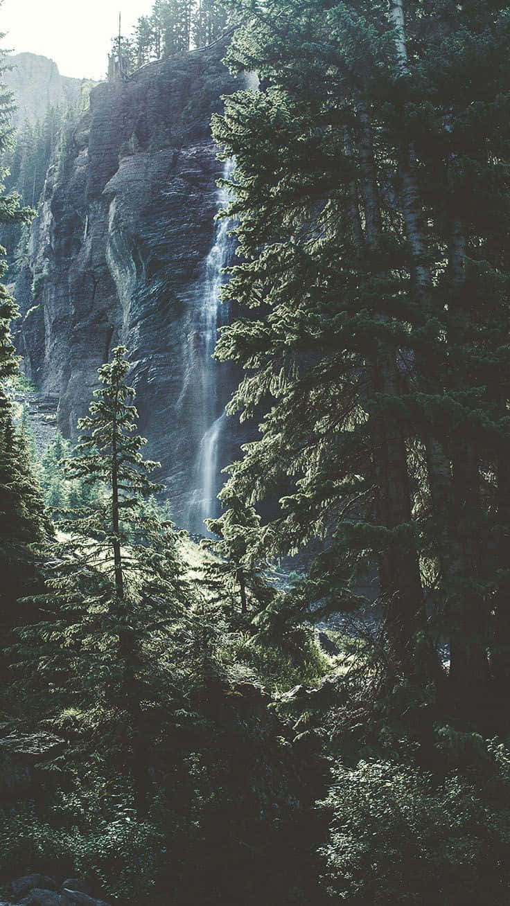 The Beauty Of Nature. Background