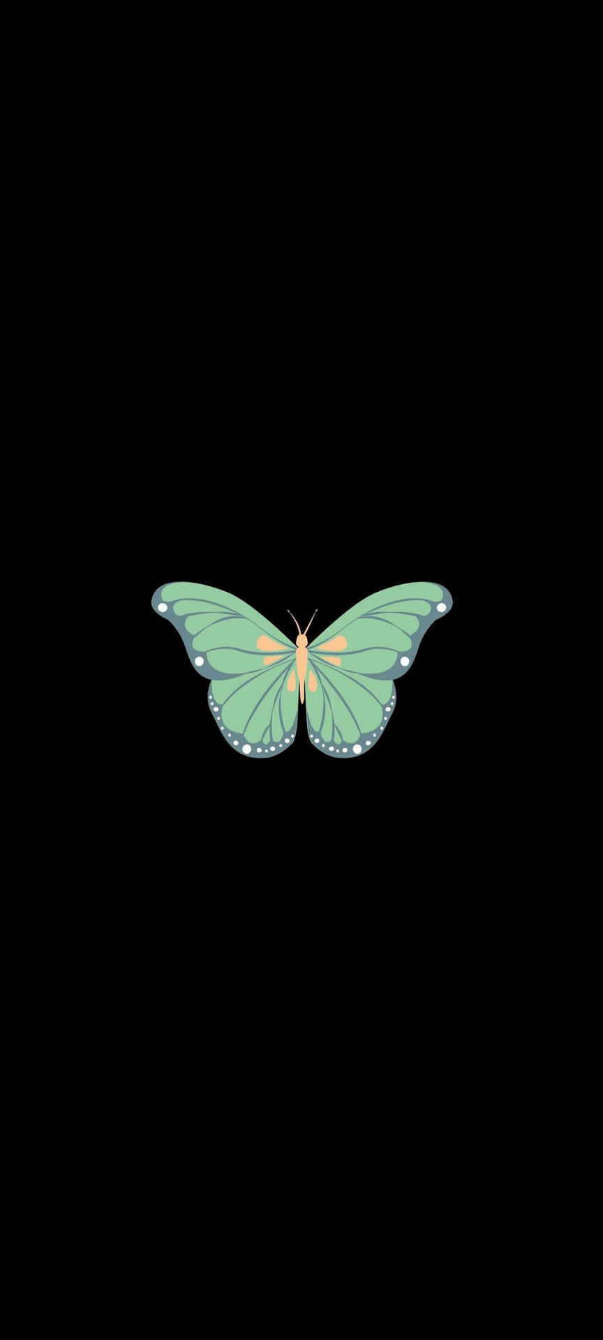 The Beauty Of Nature - A Delicate Green Butterfly Background