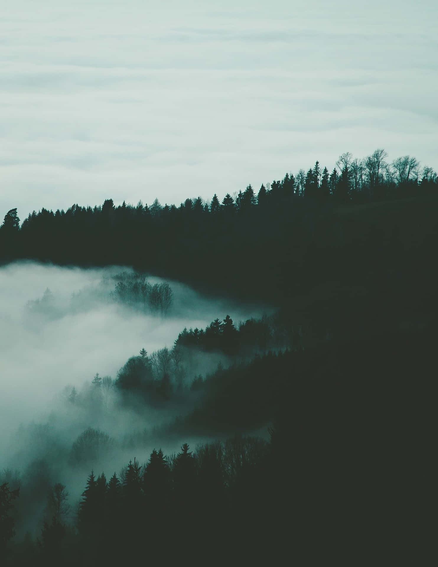 The Beauty Of Nature- A Foggy Landscape Displaying A Peaceful Ambience. Background