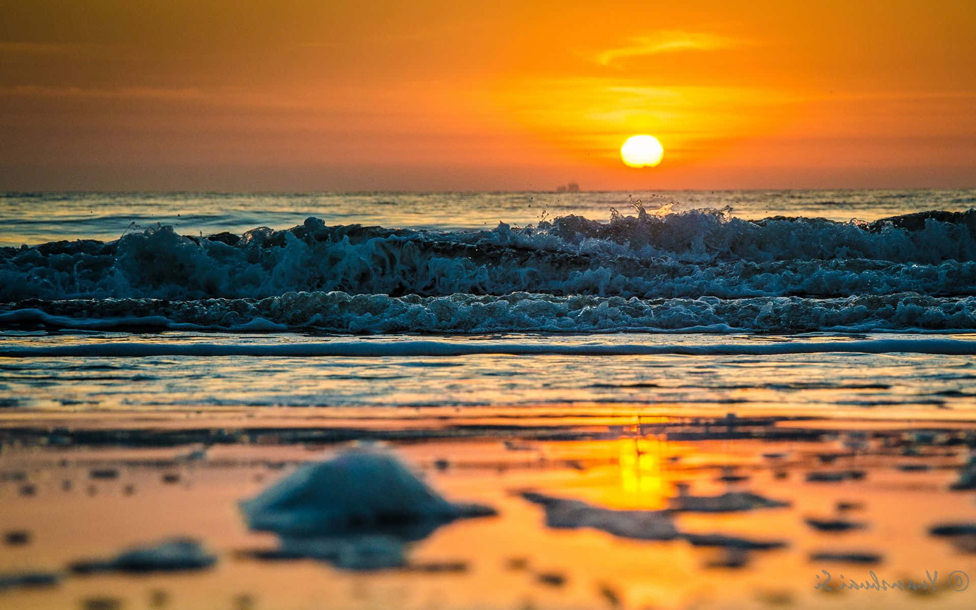 The Beauty Of Nature - Majestic Sunset Wave Background