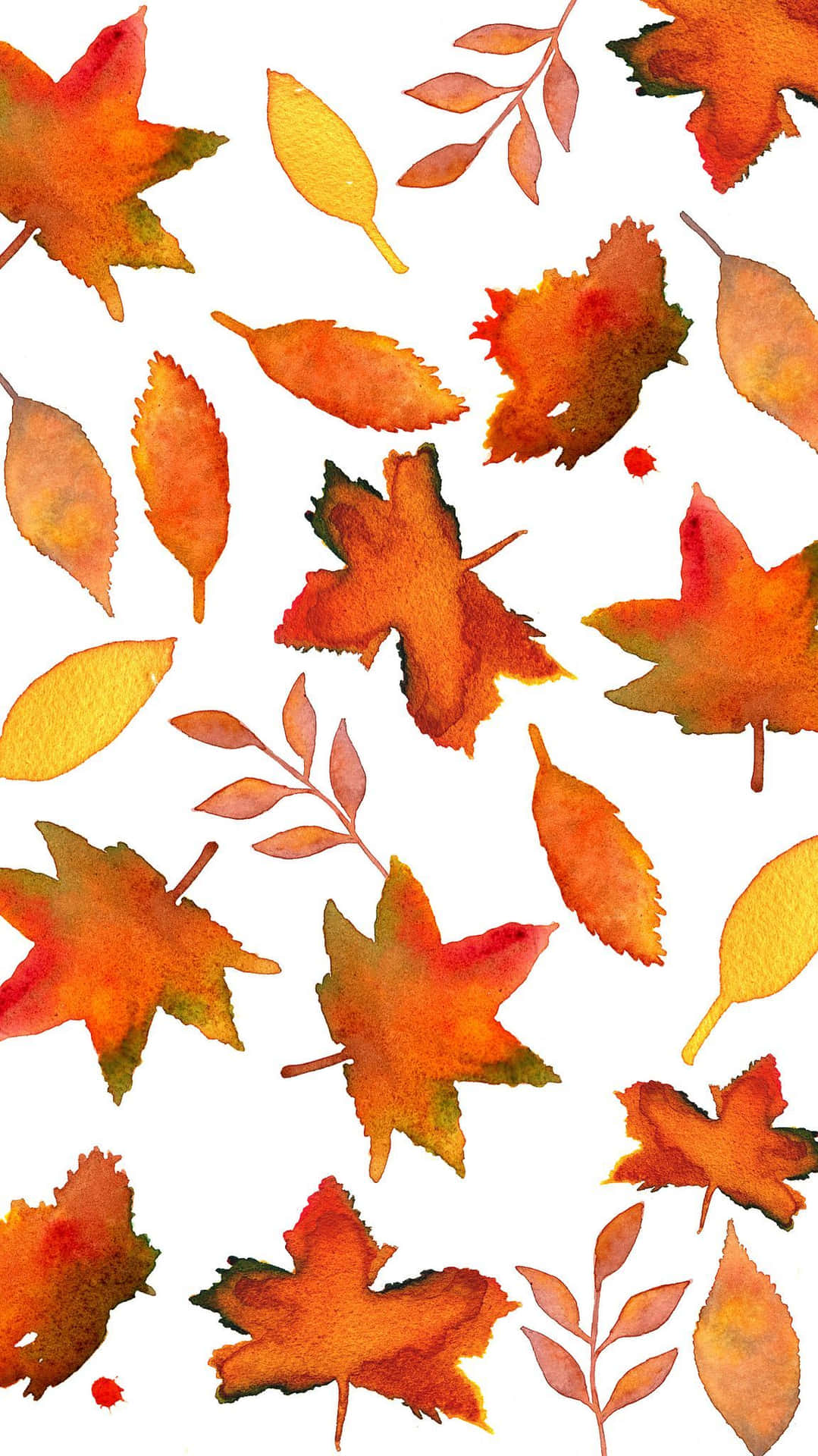 The Beauty Of Nature Shines Through Cute Leaves Background