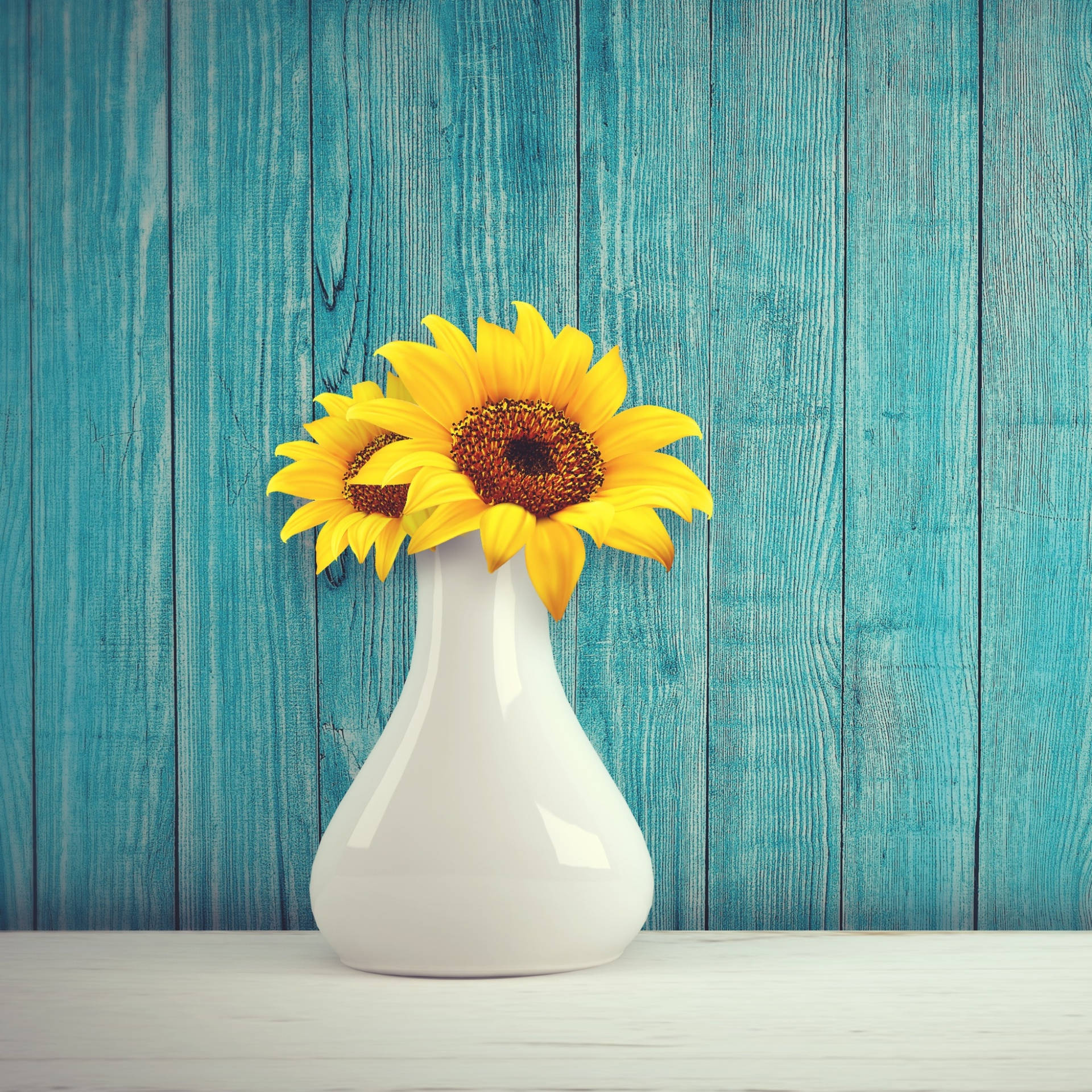 The Beauty Of Nature Unites: Sunflowers And Roses Background