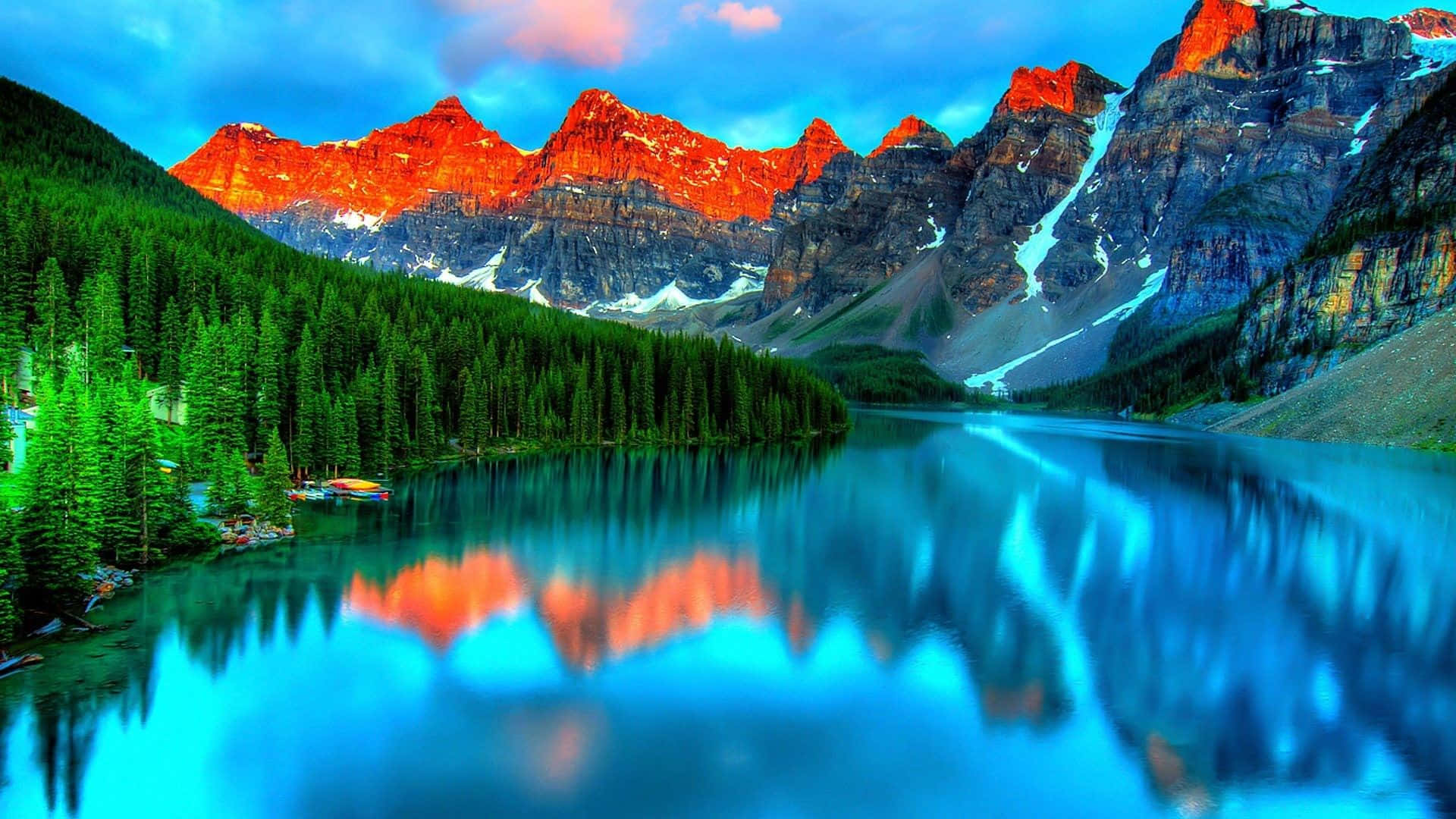 The Beauty Of November Fall Background