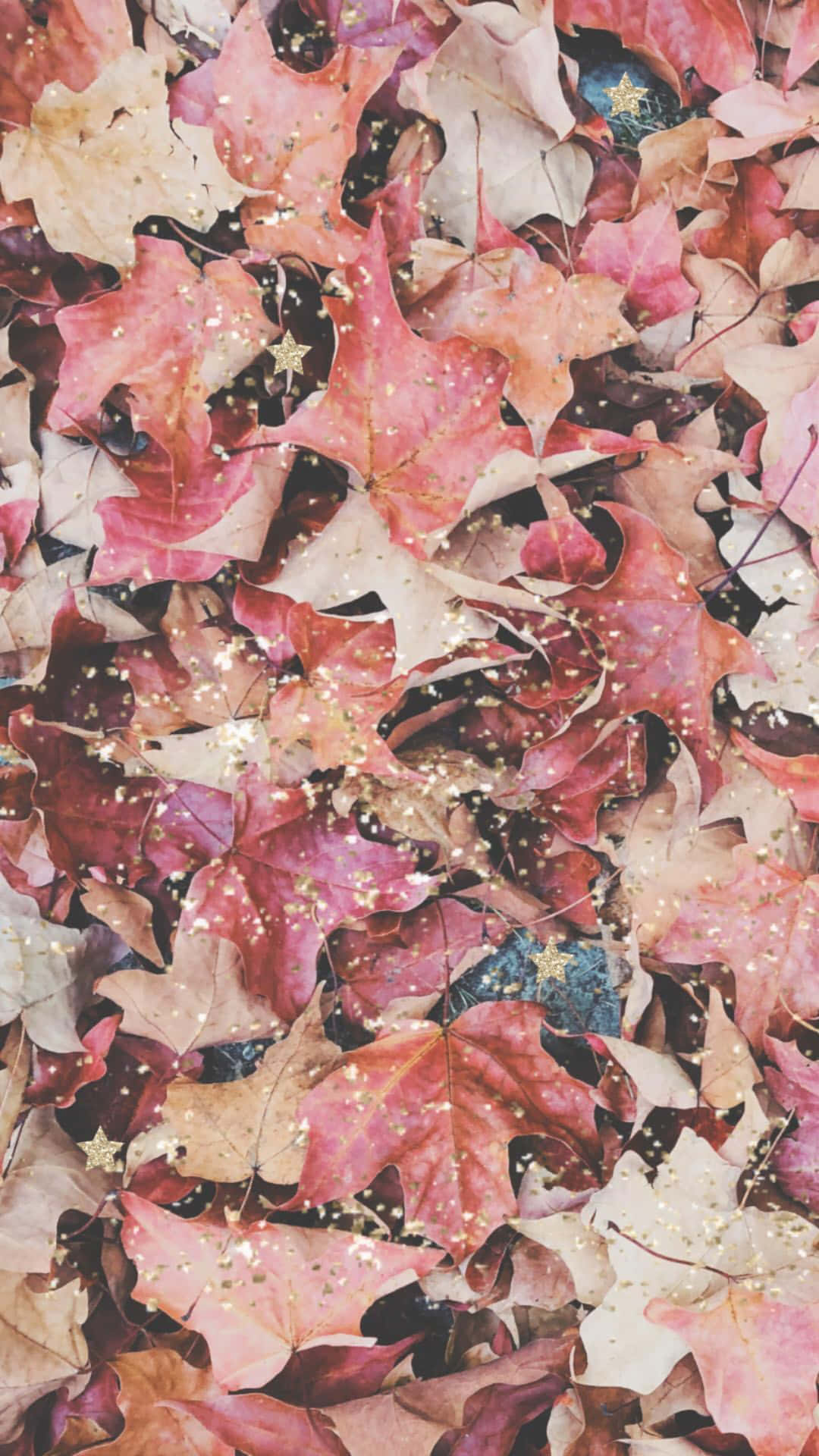 “the Beauty Of Pink Fall”