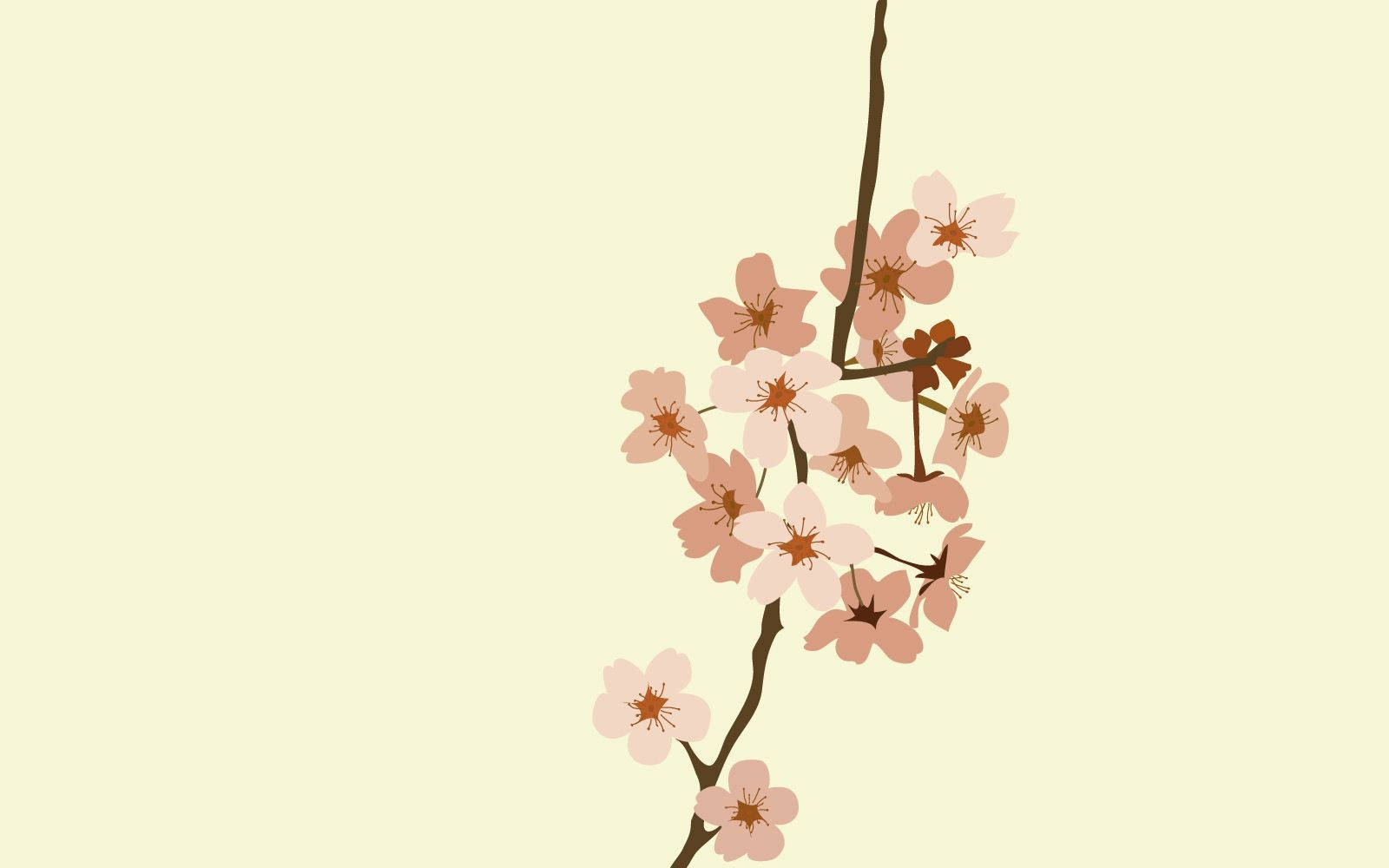 The Beauty Of Spring In Minimalist Form Background