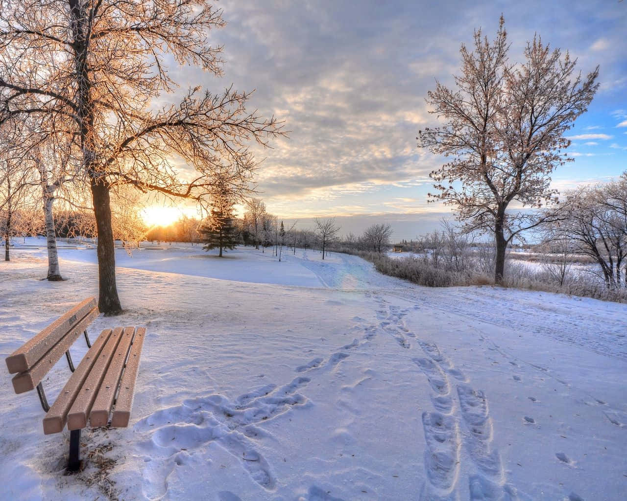 The Beauty Of Winter: Enjoy A Nature Adventure This Season Background