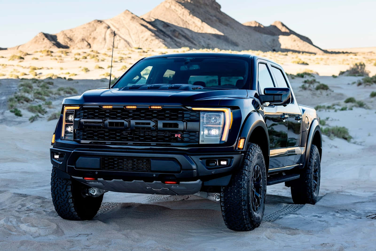 The Black Ford F - 150 Rp - Raptor Is Parked In The Desert Background