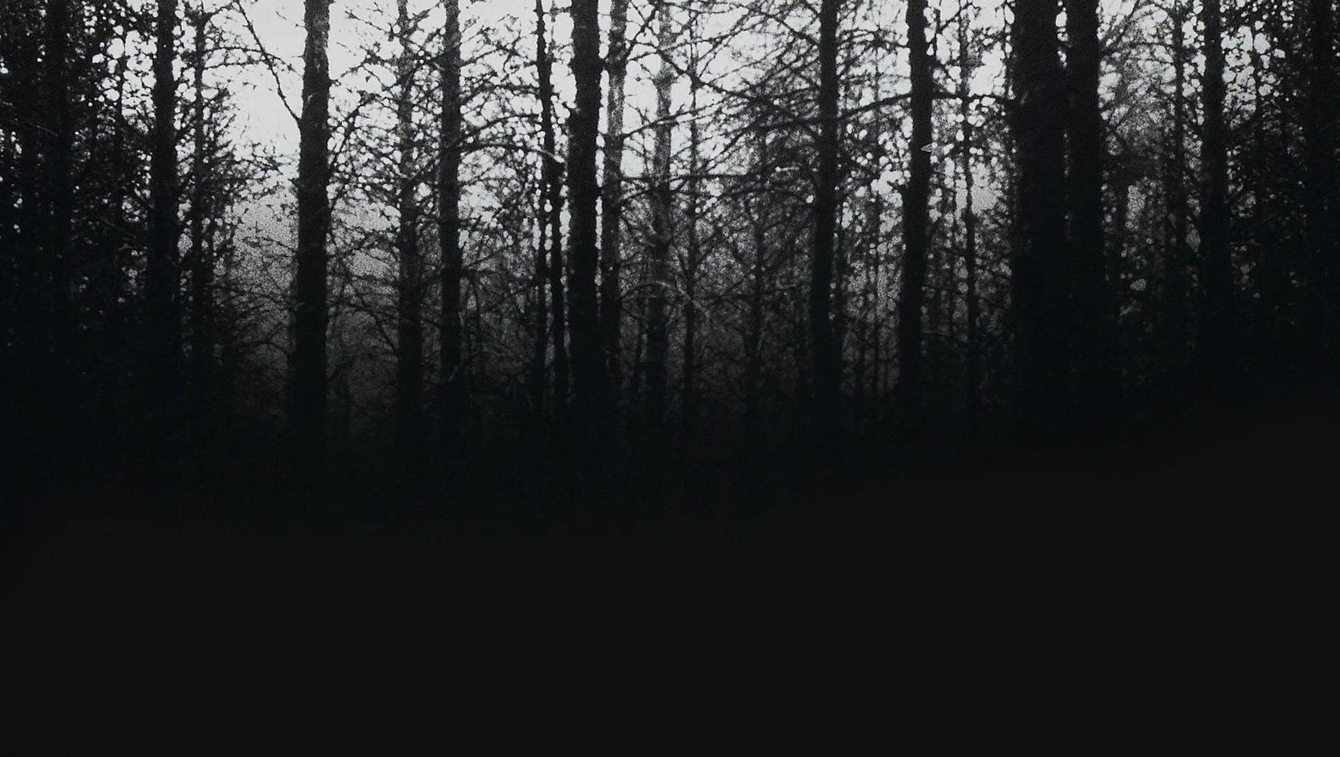 The Blair Witch Project Cover Background